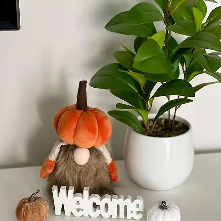 Apartamento Downtown Dream Apartmans *