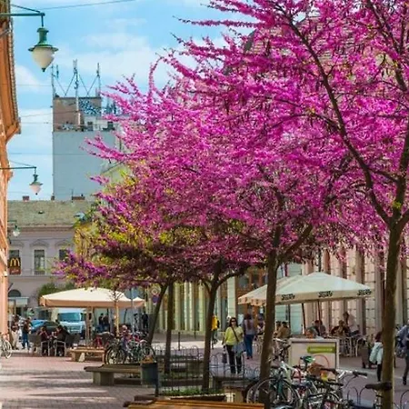 Downtown Dream Apartmans * Szegedin
