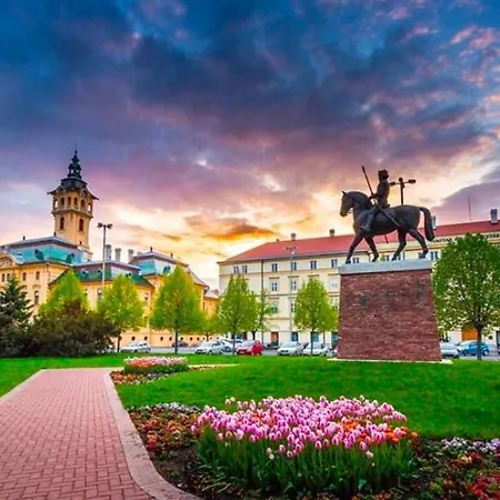 Downtown Dream Apartmans