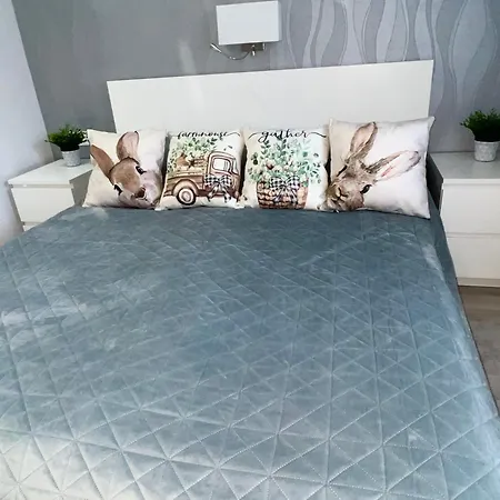 Downtown Dream Apartmans