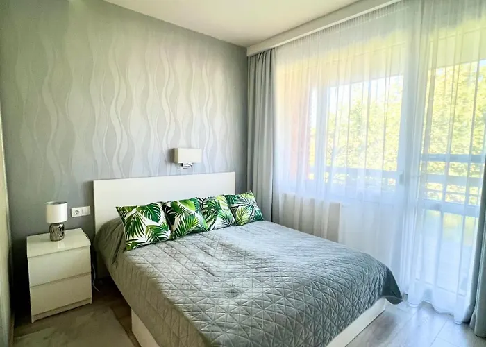 Downtown Dream Apartmans 세게드