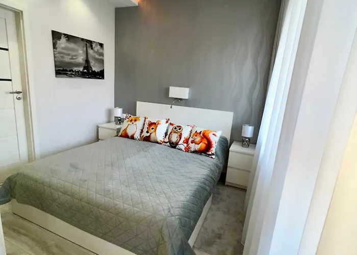 Downtown Dream Apartmans 세게드