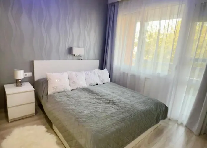 Downtown Dream Apartmans 세게드